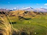 Royal St.Davids Golf Club